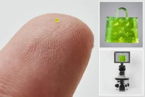 ये है दुनिया का सबसे छोटा कैमरा, साइज़ है नमक के दाने जितना