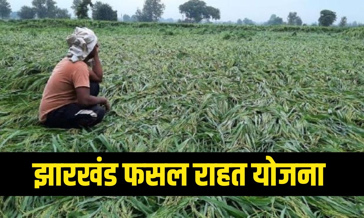 झारखंड फसल राहत योजना
