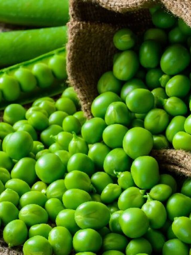 fresh-green-peas-1573802575-5156337