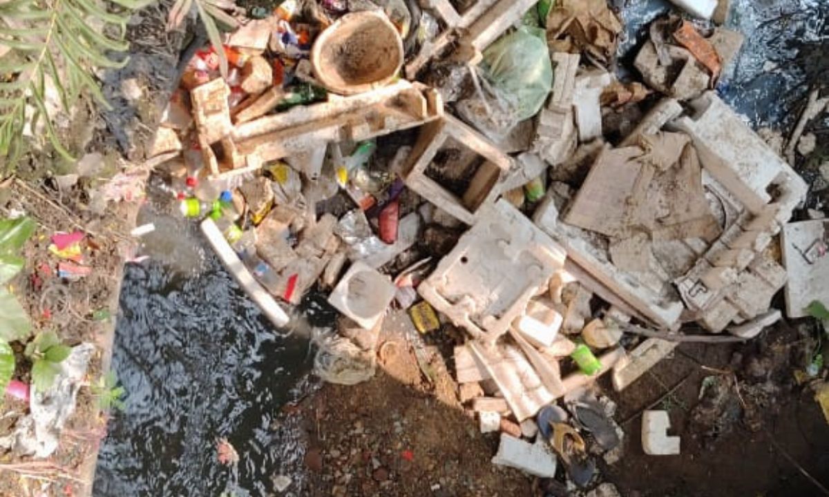 बरसात के पहले नालों की पुनः हो सफाई-पवन