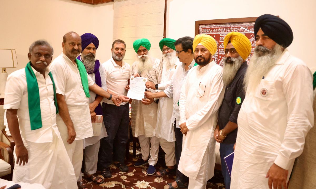 राहुल बोले- न्यूनतम समर्थन मूल्य की कानूनी गारंटी किसानों का हक