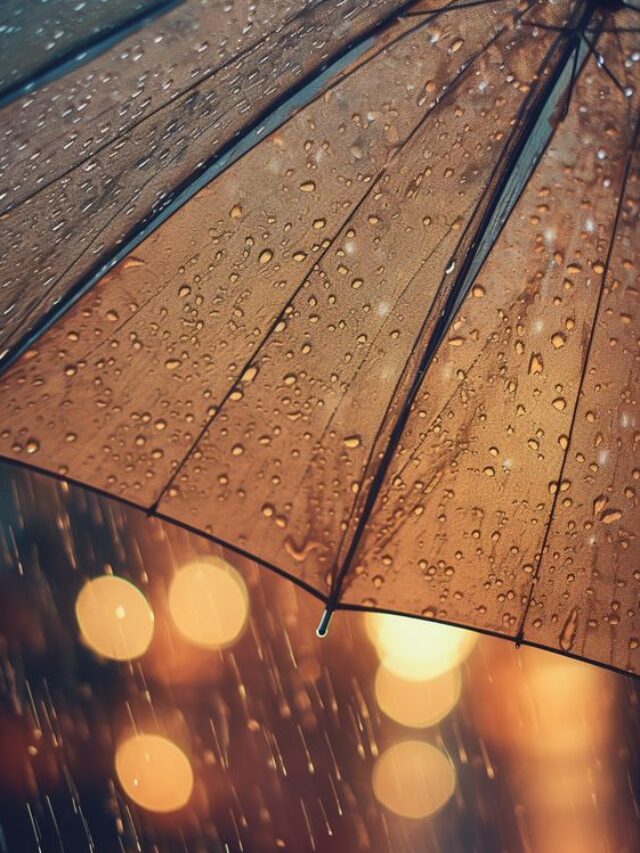 rain