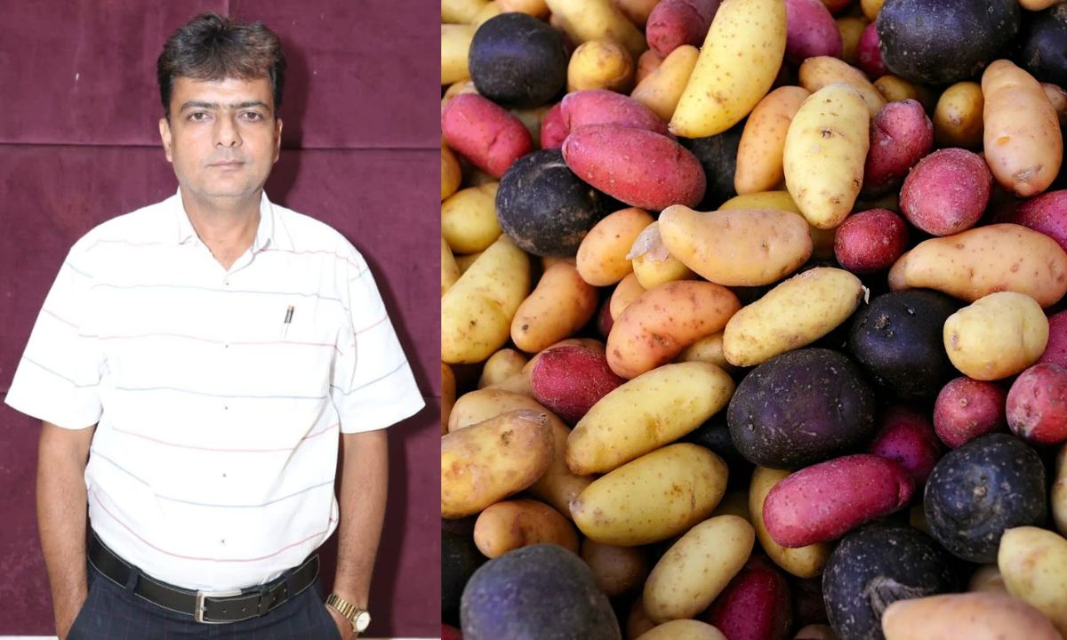 फिर रुकी पश्चिम बंगाल से आलू की आवक