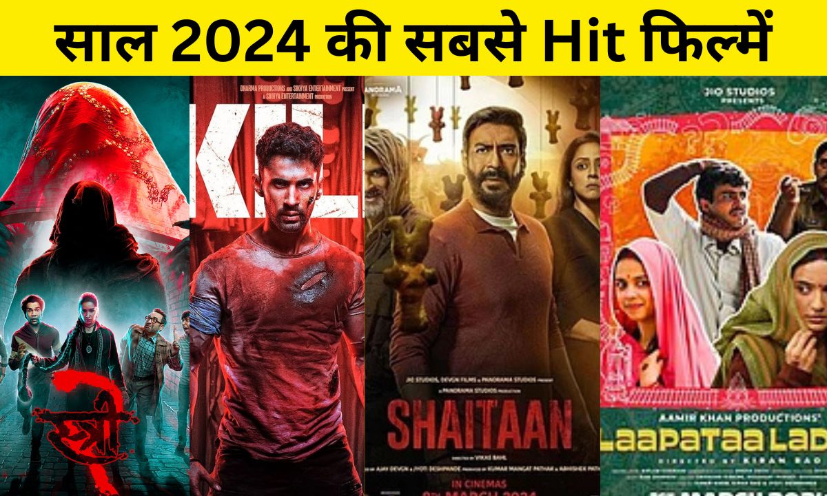 साल 2024 की सबसे Hit फिल्में