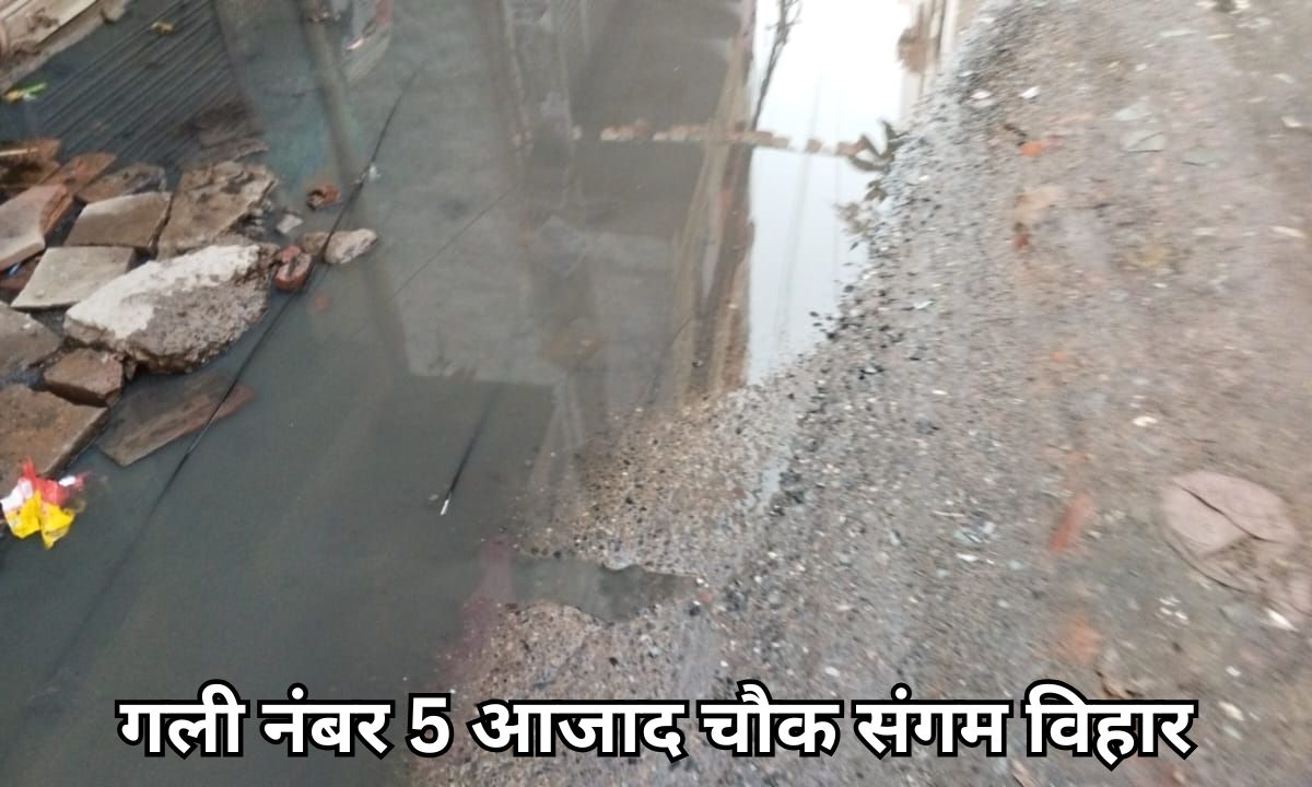 तिमारपुर वार्ड में गंदगी का अंबार