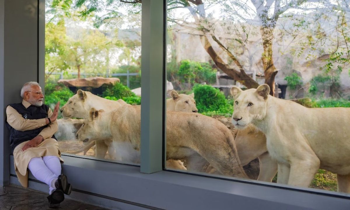 वनतारा: संरक्षण की आड़ में कुछ और?