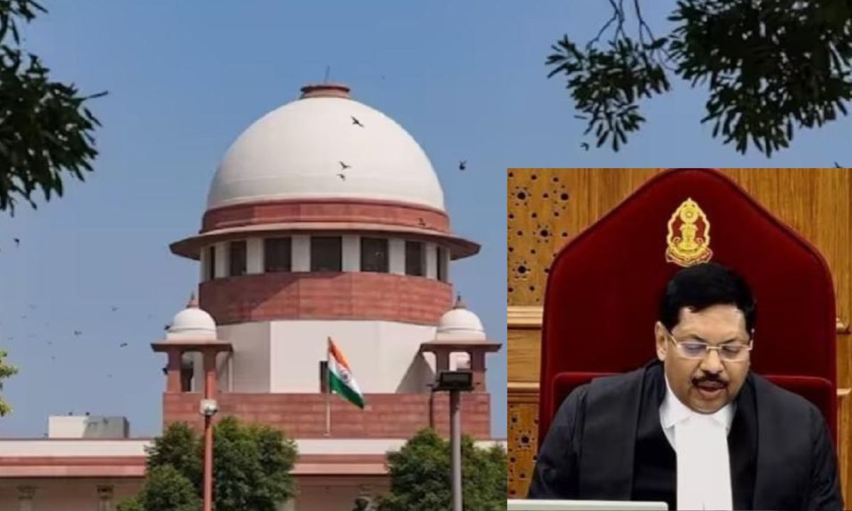 हम पर आरोप लग रहा है कि हम कार्यपालिका के अधिकारों में दखल दे रहे