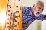 Increasing body temperature in summer is dangerous