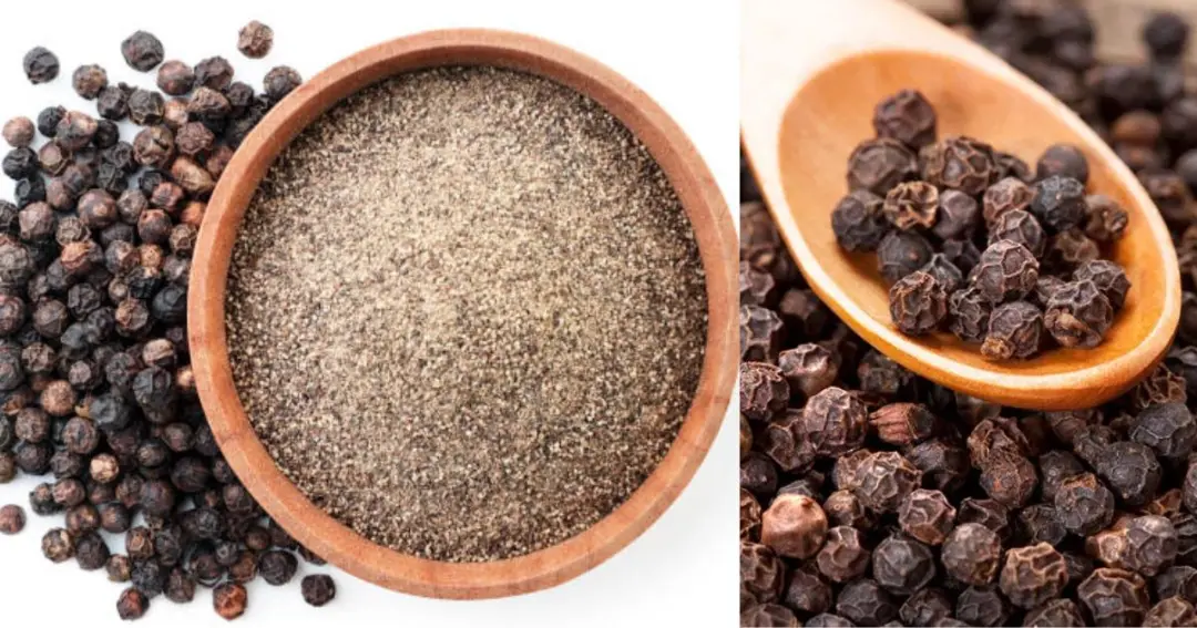 King of spices and treasure of health black pepper