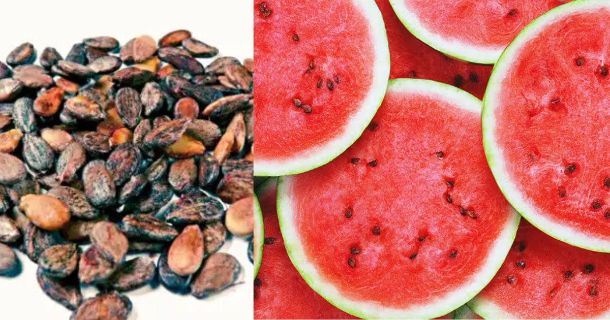 Benefits of Watermelon Seeds