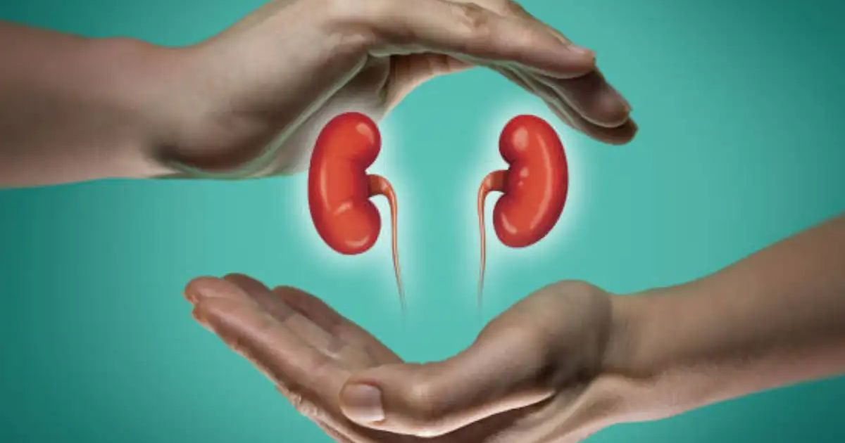 Symptoms of kidney failure Do not ignore the body's warnings