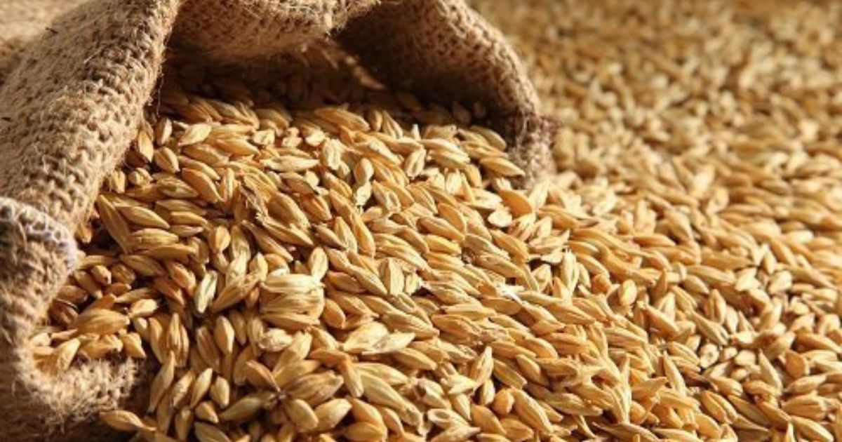 Wet Wheat: From weight loss to heart and skin care, a superfood!