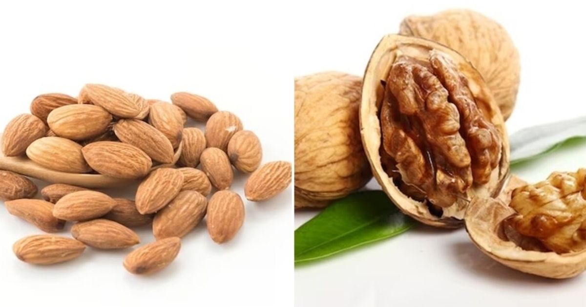 Which is better for keeping the mind sharp and the body healthy – almonds or walnuts? Know the benefits of both