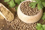 Treasure of health From diabetes to cholesterol, coriander seeds have miraculous benefits