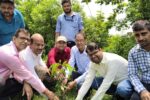 Tree plantation and public awareness campaign by Bol Bam Seva Trust