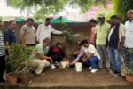 Trees were planted in the name of martyred soldiers on World Environment Day