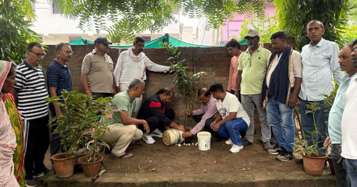 Trees were planted in the name of martyred soldiers on World Environment Day