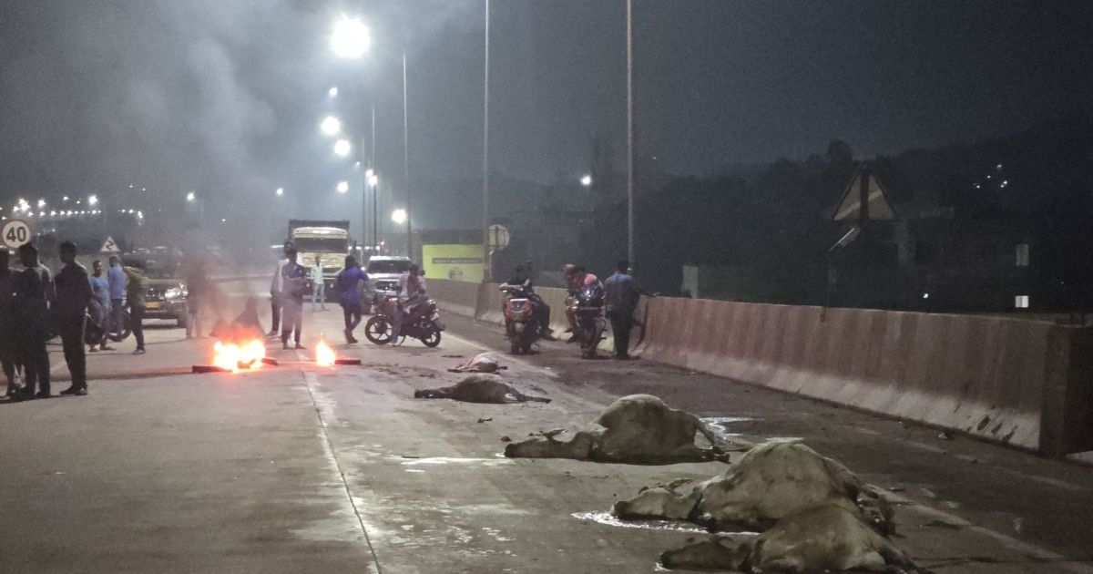 An unknown truck coming at high speed on Joda flyover crushed seven cows and a dog and fled, angry residents of the area blocked the flyover for hours