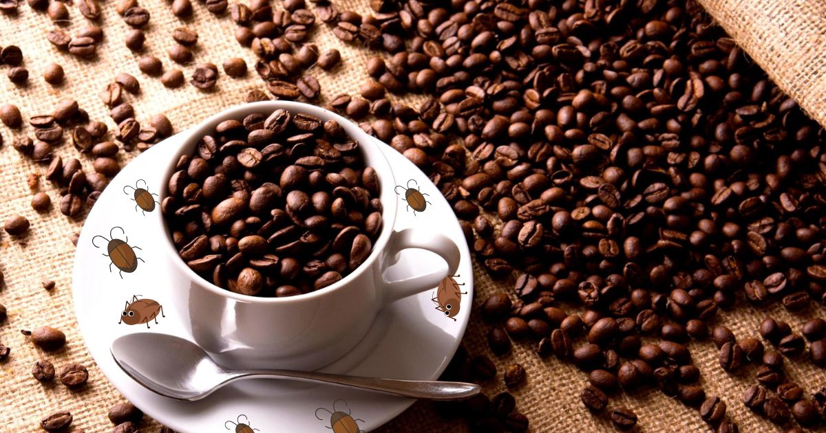 coffee