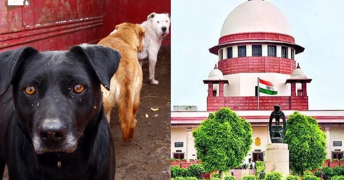 आवारा कुत्तों पर SC में फैसला सुरक्षित