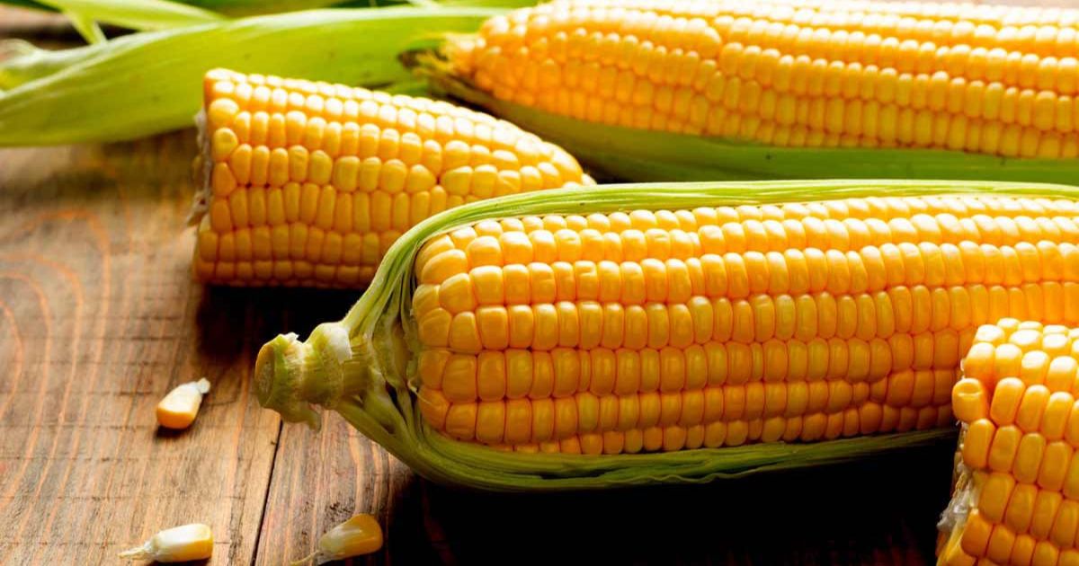 मानसून का बेस्ट स्नैक्स भुट्टा