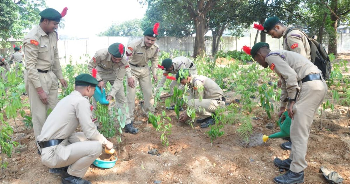 Tata Steel UISL plants 5,000 trees