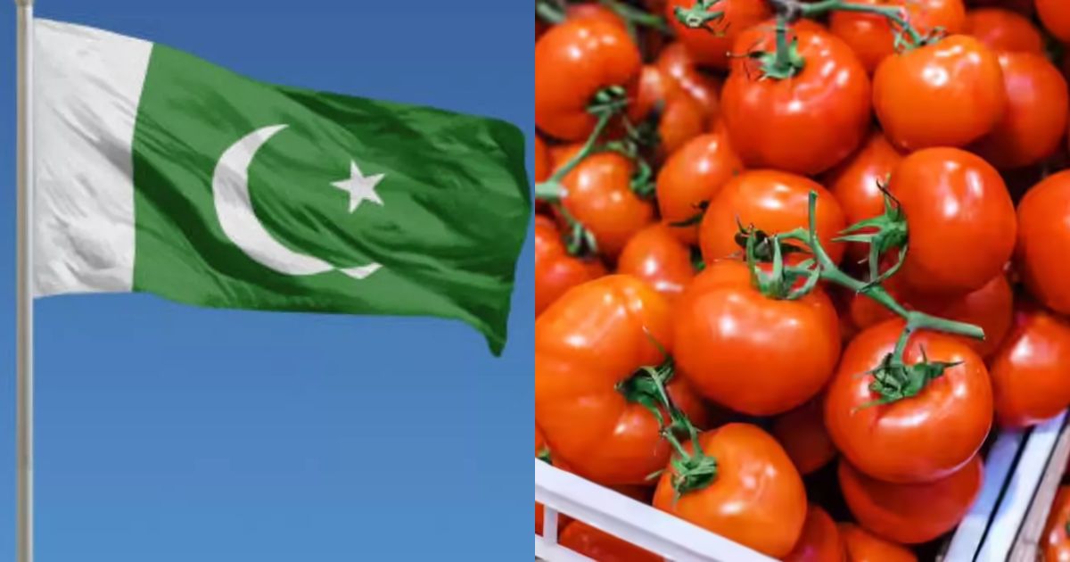 Tomato prices in Pakistan will shock you