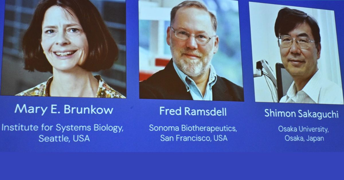 नोबेल पुरस्कार 2025: आर्थराइटिस और डायबिटीज जैसी बीमारियों के इलाज की दिशा में बड़ा कदम