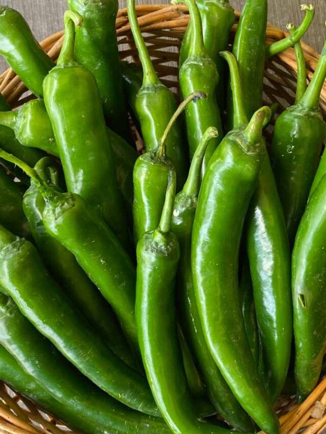 green-chilli-benefits1