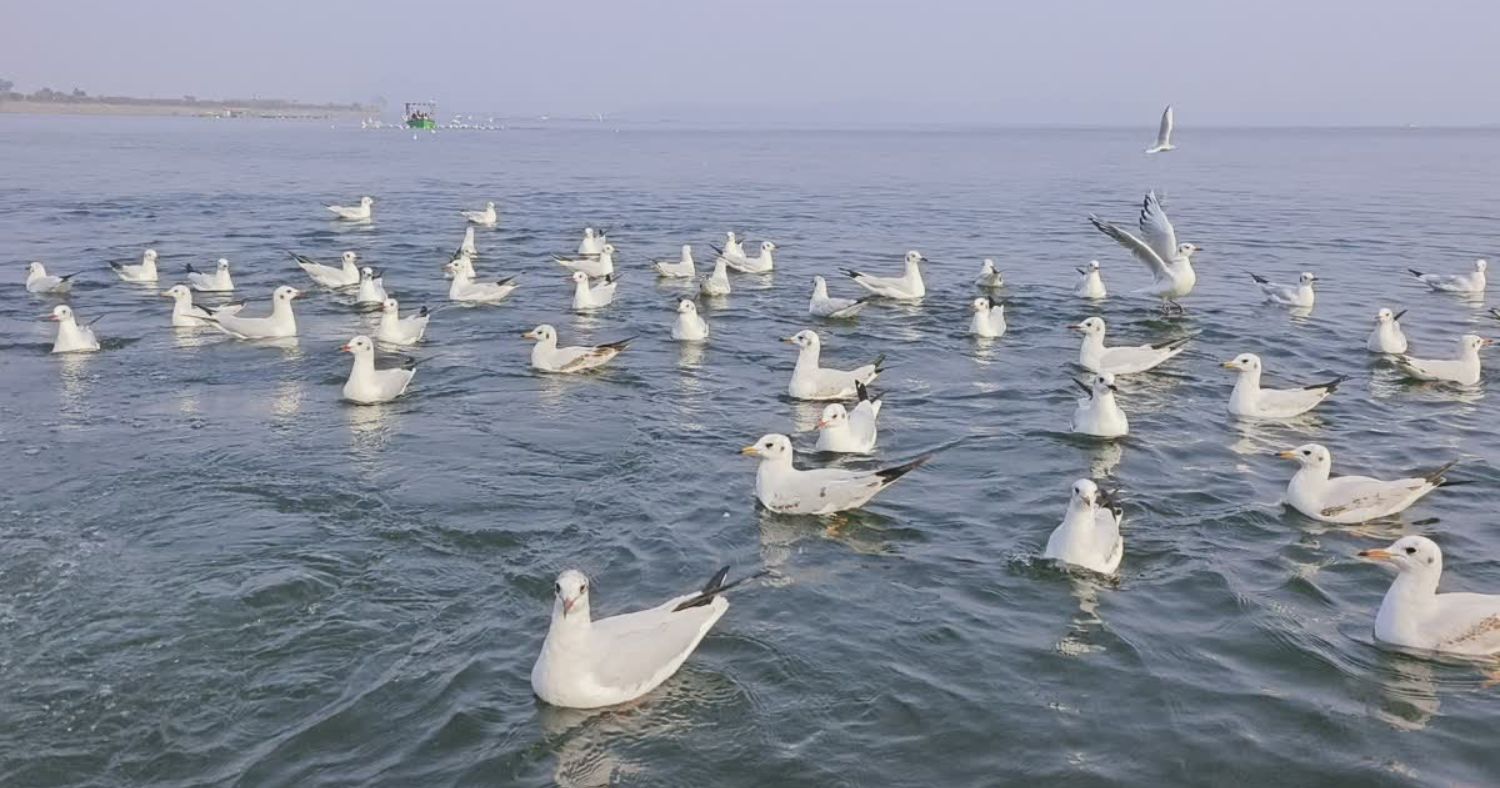 पतरातू वैली और डैम