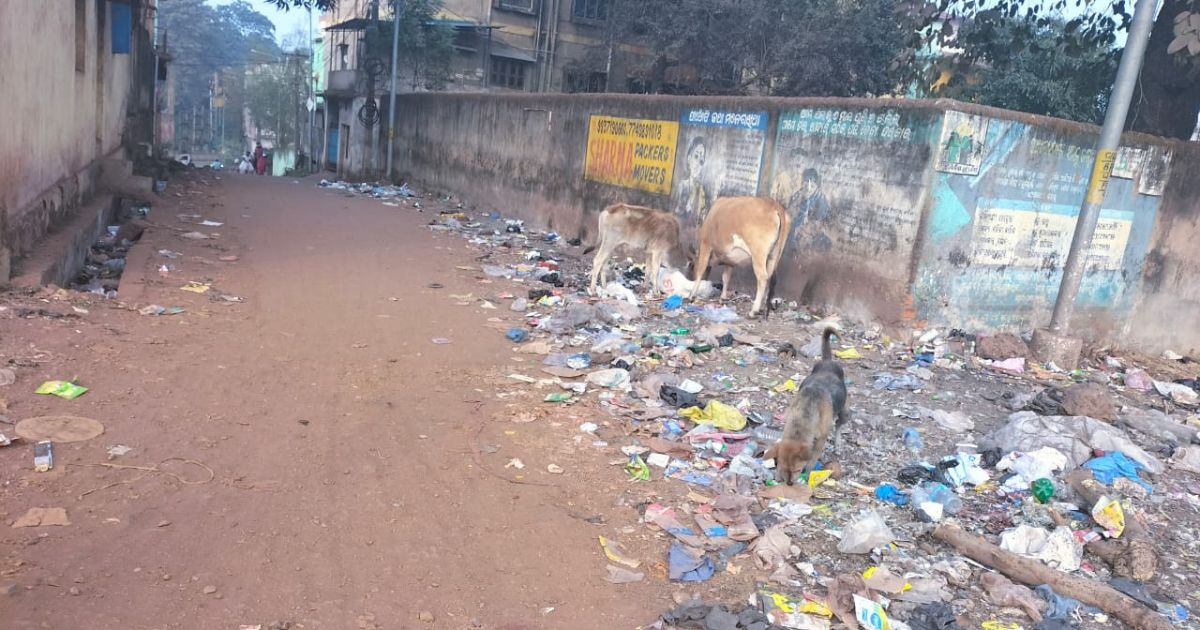 बड़बिल नगरपालिका के वार्ड नंबर 15 में फैला कचरा