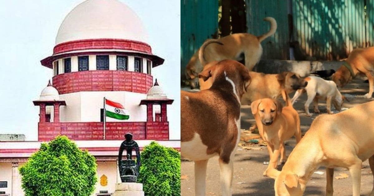 'कुत्ते के काटने पर मुआवजा देगी राज्य सरकार', SC का अहम फैसला