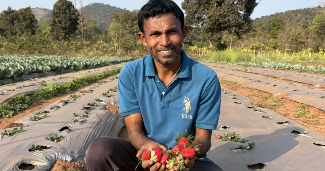 Green initiative in Lohanchal region