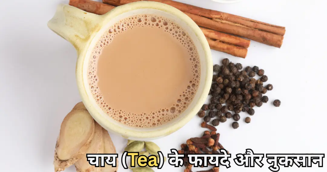 चाय (Tea)के फायदे और नुकसान