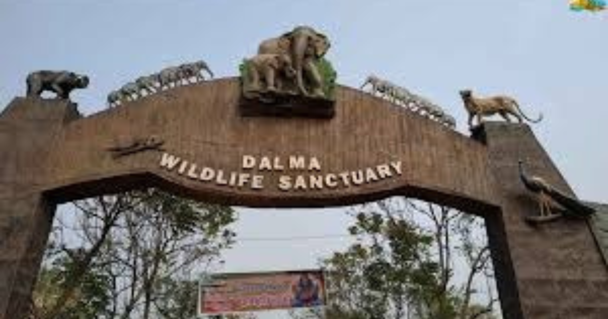 दलमा में आज से पक्षियों का रंगीन संसार सजेगा, 9 से 11 मार्च