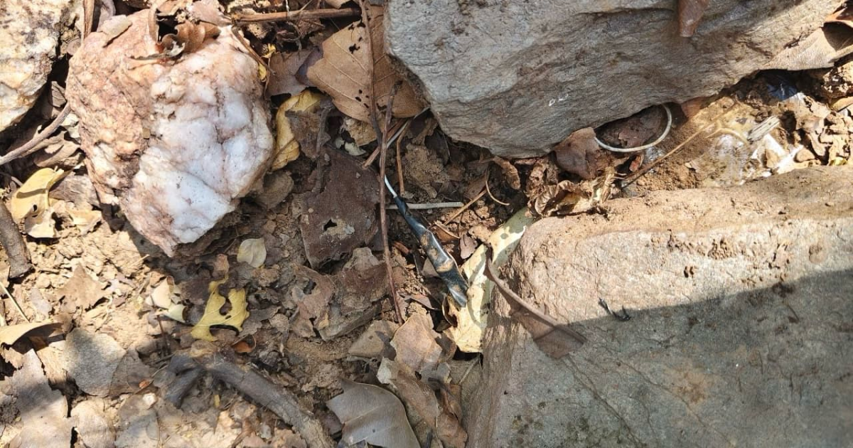 सारंडा के जंगलों में सर्च ऑपरेशन के दौरान IED बरामद, सुरक्षा बलों ने किया सुरक्षित निष्क्रिय