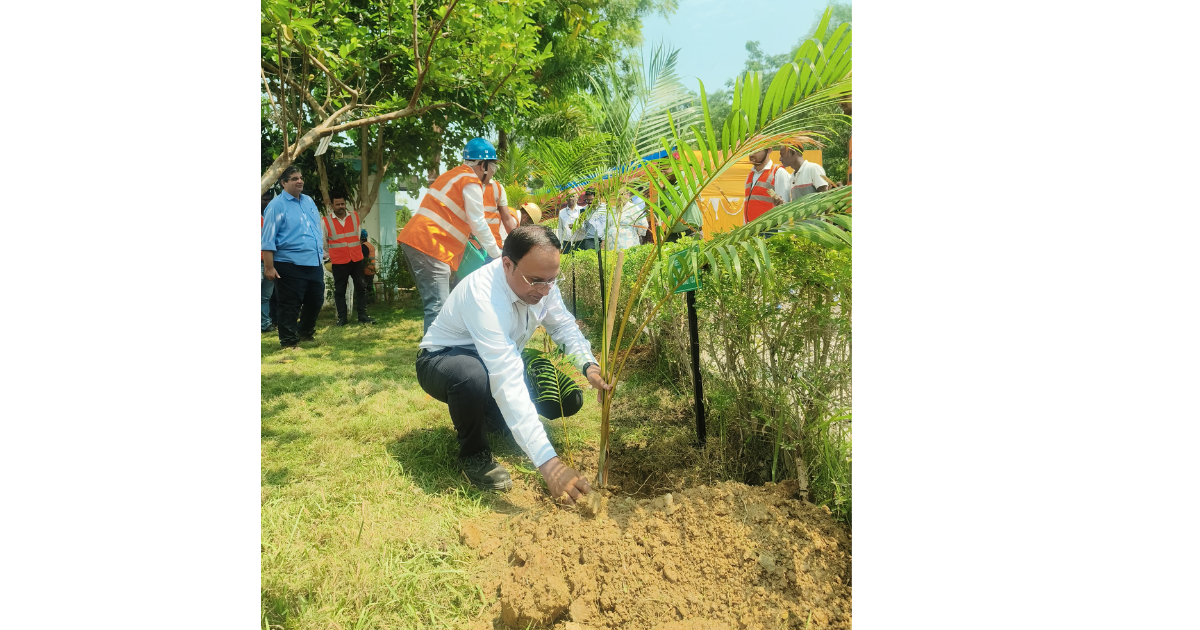 गालूडीह में 1000 पौधों का रोपण