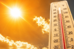 Heatwave Alert 2026: भीषण गर्मी से बढ़ सकता है Brain, Eyes और Kidney से जुड़ी बीमारियों का खतरा