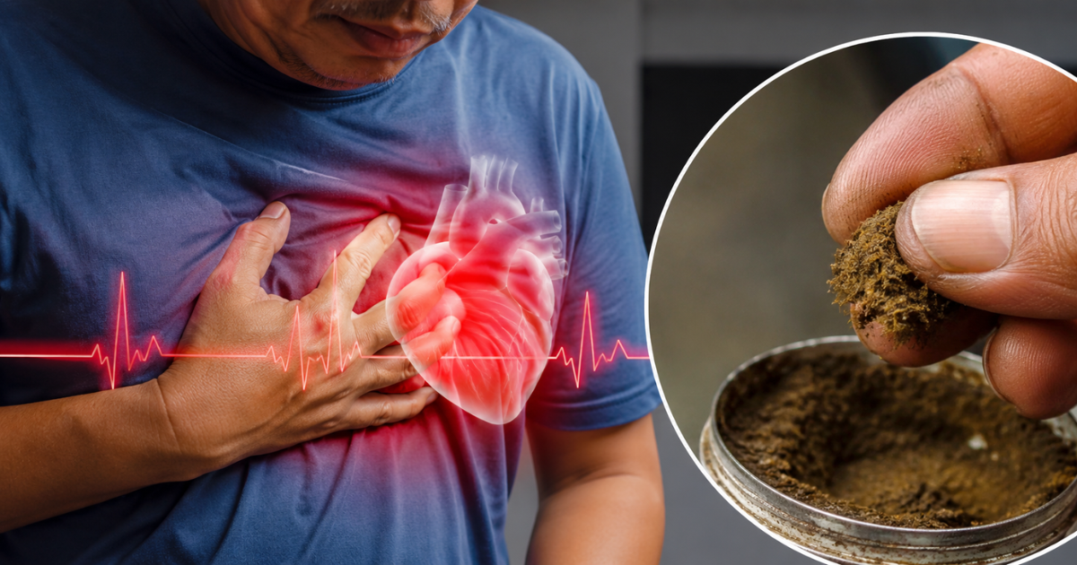 Khaini Side Effects: खैनी बन रही ‘साइलेंट हार्ट किलर’, पटना के रिसर्च में सामने आया चौंकाने वाला खुलासा