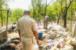 West Singhbhum Excise Raid: लतरशिखा गांव में अवैध शराब के खिलाफ बड़ी कार्रवाई, 8 भट्टियां ध्वस्त