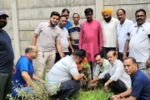 विश्व पर्यावरण दिवस पर "एक पेड़ माँ के नाम" अभियान, पर्यावरण संरक्षण का दिया गया संदेश