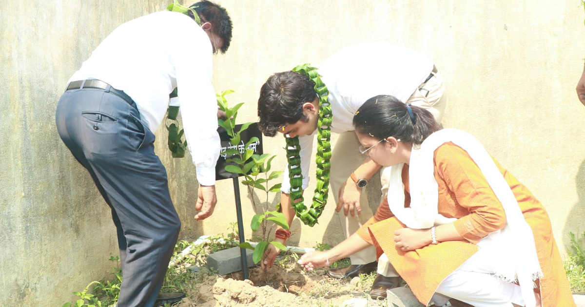 विश्व पर्यावरण दिवस पर पश्चिमी सिंहभूम में पौधारोपण अभियान, उपायुक्त ने दिया हरित भविष्य का संदेश