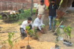 विश्व पर्यावरण दिवस 2026: जिला कारा सरायकेला में वृक्षारोपण, पर्यावरण संरक्षण का दिया गया संदेश