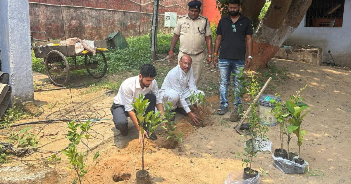 विश्व पर्यावरण दिवस 2026: जिला कारा सरायकेला में वृक्षारोपण, पर्यावरण संरक्षण का दिया गया संदेश