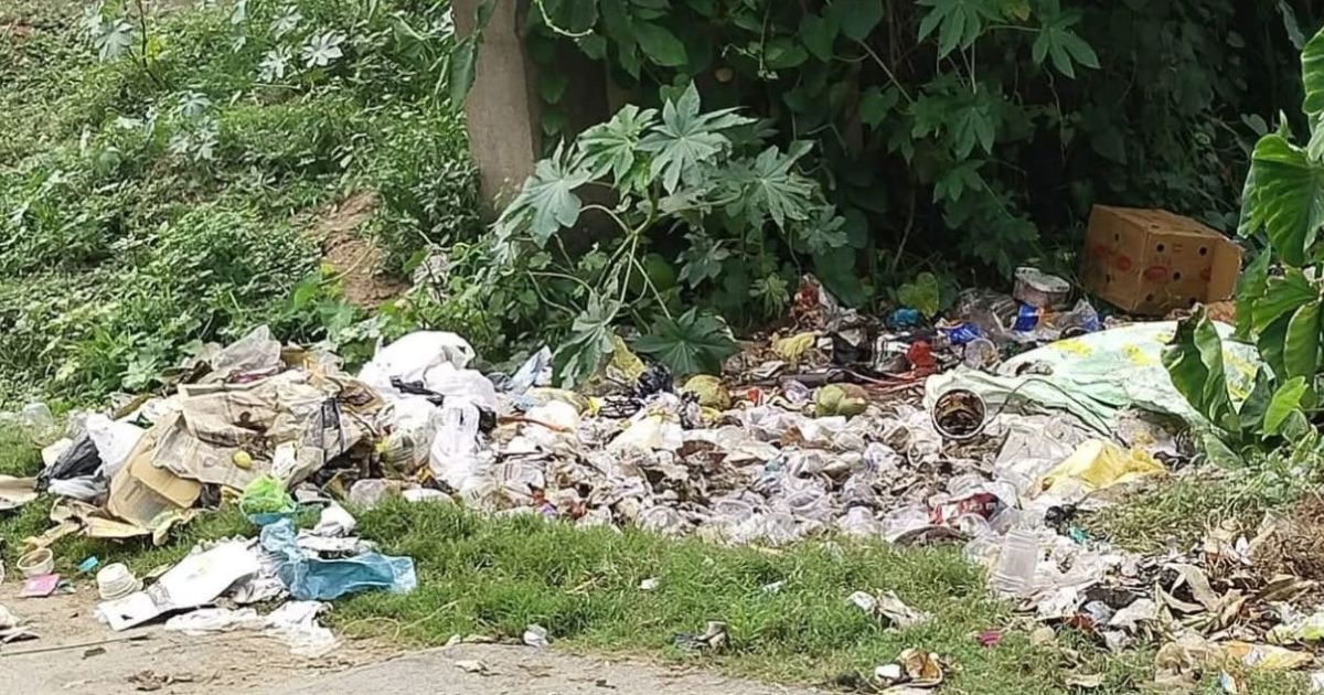 पटनायक टोला में सड़क किनारे कचरे का अंबार, गंदगी से परेशान लोगों ने उठाई सख्त कार्रवाई की मांग