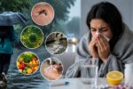 Monsoon Health Tips: बारिश के मौसम में सबसे ज्यादा फैलती हैं ये बीमारियां, इन 5 बातों का रखें ध्यान