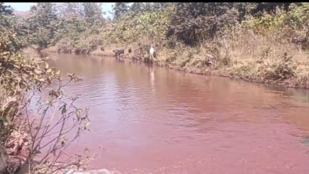The Sona River is being polluted by contaminated water