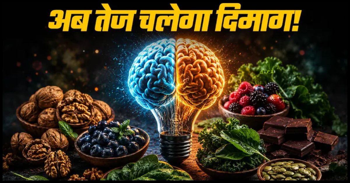 World Brain Day 2026: भूलने की आदत हो रही है ? डाइट में शामिल करें ये 5 सुपरफूड्स, दिमाग रहेगा तेज