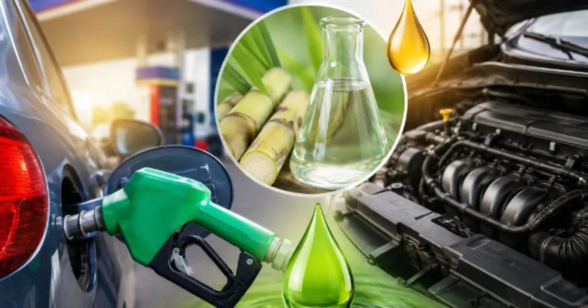 E25 Petrol Update: 25% एथेनॉल वाला पेट्रोल फिलहाल नहीं होगा लागू? जानिए सरकार ने क्यों टाला फैसला