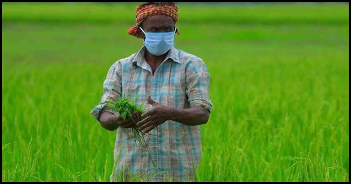 PM Kisan Yojana: एक ही जमीन पर दो किसान कर रहे हैं खेती? जानिए किसे मिलेगा ₹6,000 का फायदा